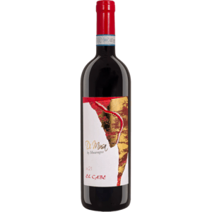 “El Cabe” Cabernet Sauvignon Organic Doc Venezia - Terra Musa